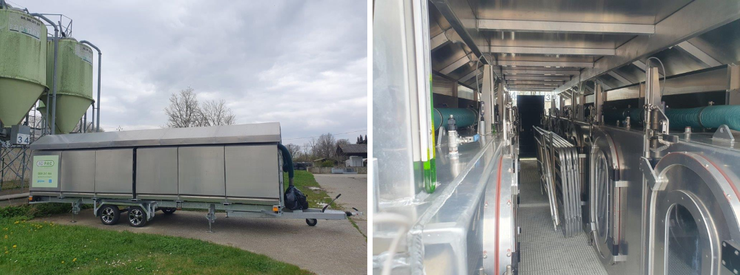 Chambres portables permettant de mesurer les émissions de gaz à effet de serre chez les petits ruminants.