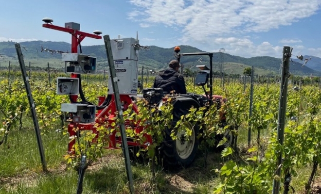 Robot de phénotypage, ou phénomobile, adapté aux cultures en rang comme la vigne.