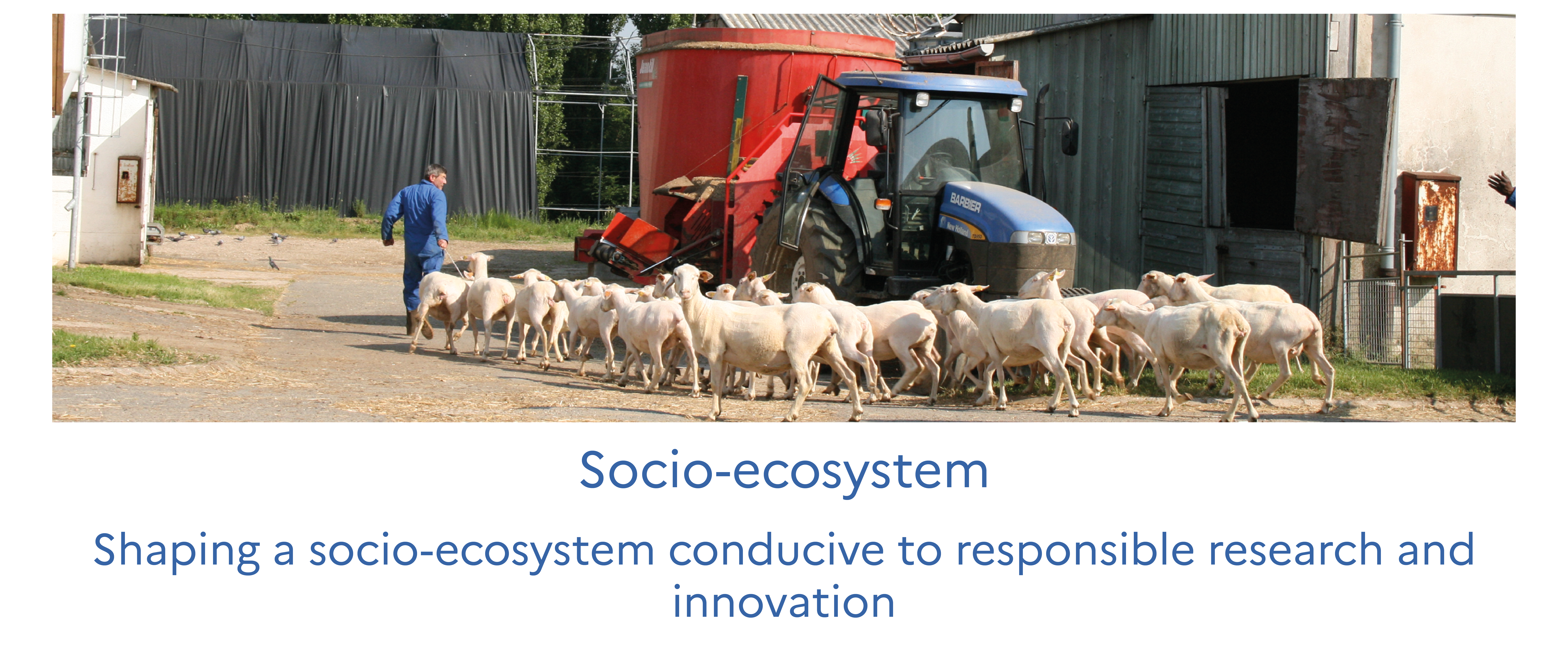 Socio-ecosystem - Schaping a socio-ecosystem conducive to responsible research and innovation