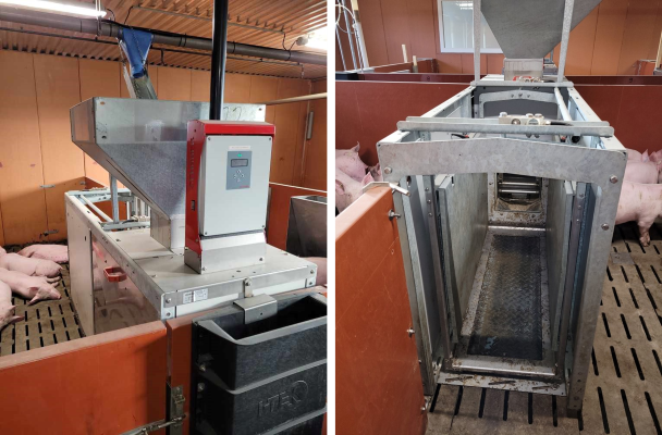 Distributeur automatique d’aliments permettant de mesurer la consommation des animaux.