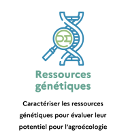 Icone Ressources génétiques